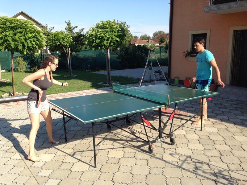Vila Kristina Negotin Cameră foto