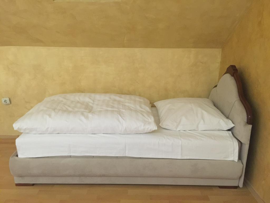 Vila Kristina Negotin Cameră foto