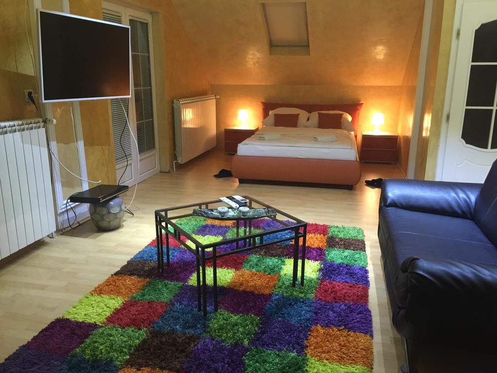 Vila Kristina Negotin Cameră foto